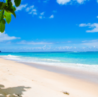 Ami Voyages VOL SEC Test Img 
